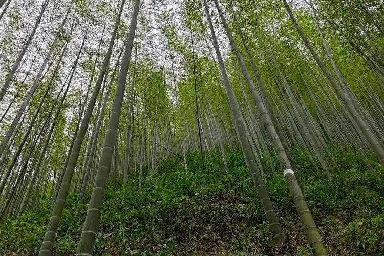 产品优势