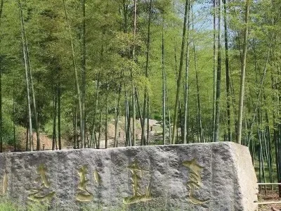 江苏亨达引领行业“竹”梦前行